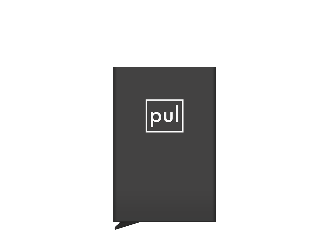 Pularys Zen - Pjeskareni aluminij
